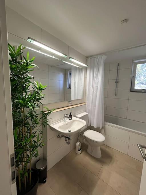 City Appartement Direkt Am Schloss! Карлсруе Екстер'єр фото